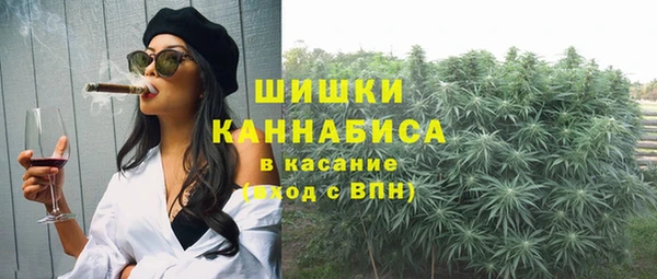 крисы Зеленодольск