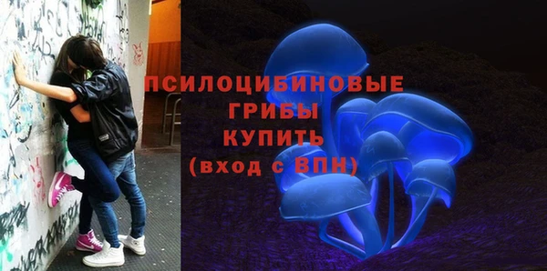 2c-b Зерноград