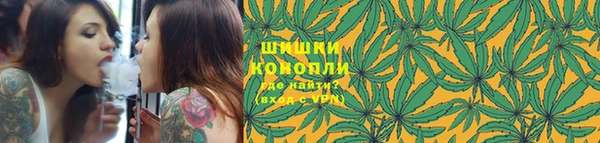 крисы Зеленодольск