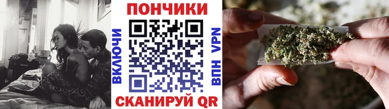 Шишки марихуана план  где продают наркотики  Арзамас 